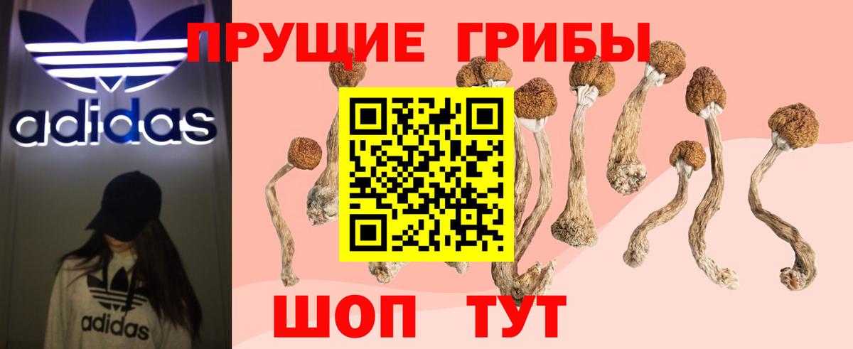 Галлюциногенные грибы ЛСД Ейск